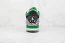 Air Jordan 3 "Pine Green"