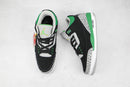 Air Jordan 3 "Pine Green"