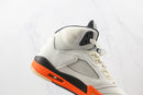 Air Jordan 5 "Shattered Backboard"