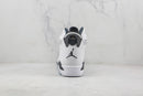 Air Jordan 6 "Oreo"